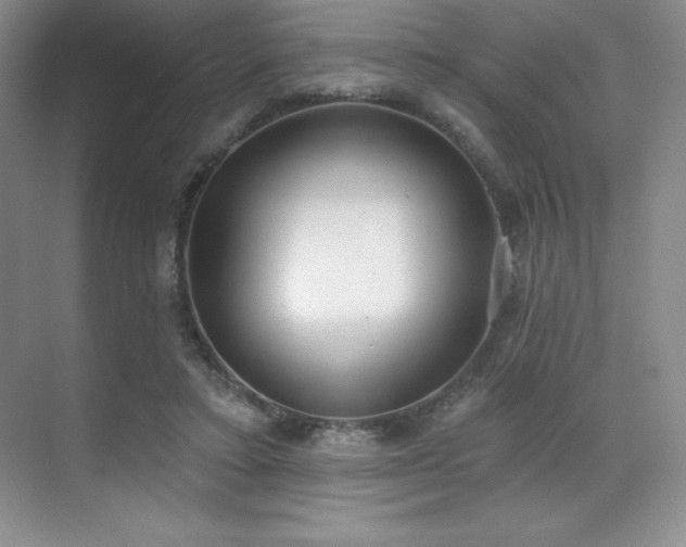 X0000071940403200607071149