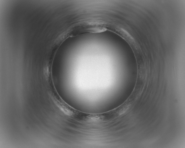 X0000071940405200607071149