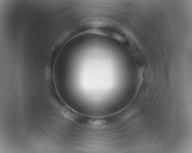 X0000071940407200607071149