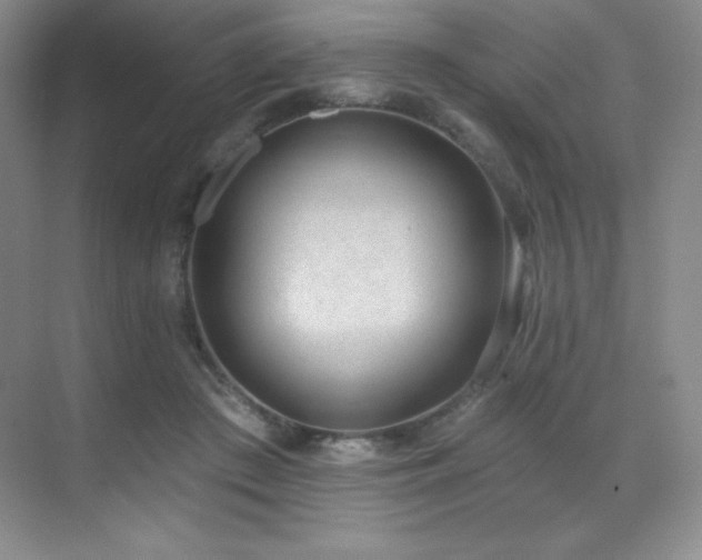 X0000071940409200607071149