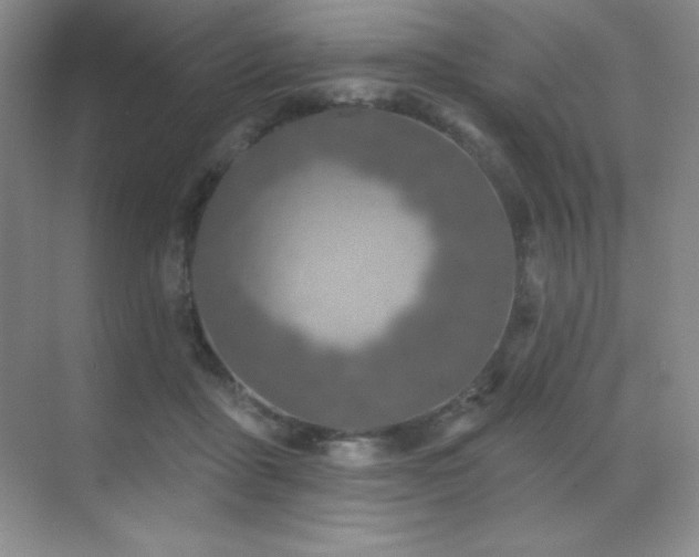 X0000071940411200607071149