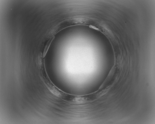 X0000071940413200607071149