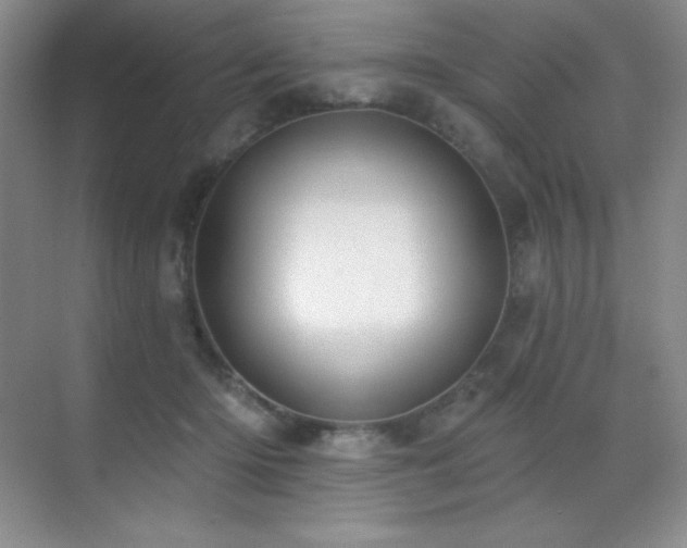 X0000071940414200607071149