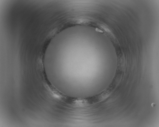 X0000071940415200607071149