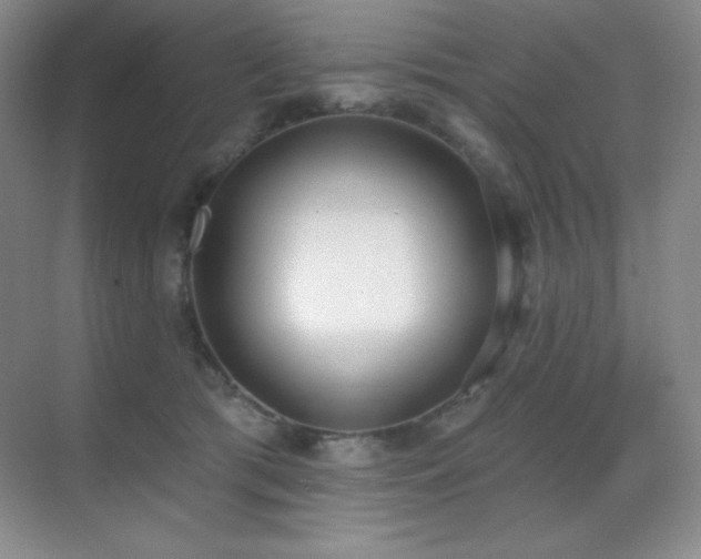 X0000071940417200607071149