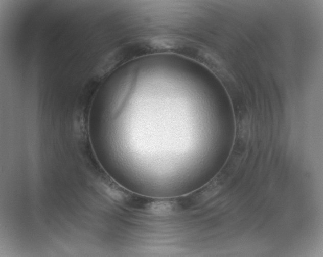 X0000071940418200607071149