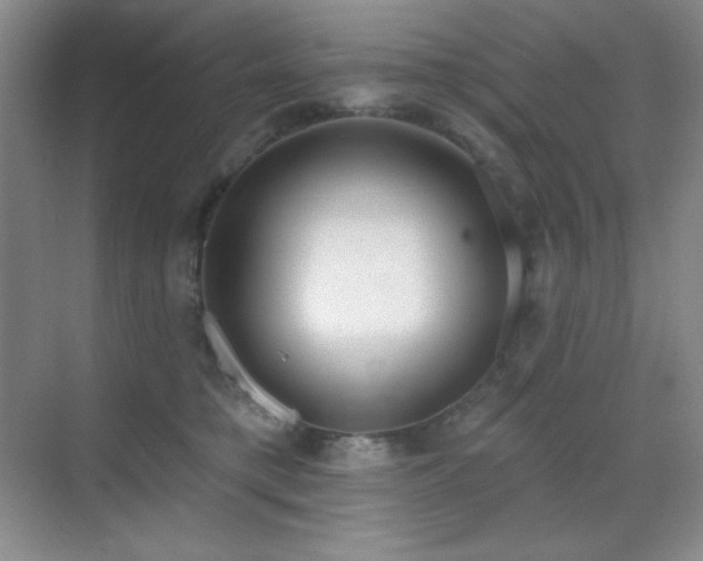 X0000071940421200607071149