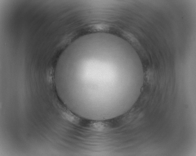 X0000071940423200607071149