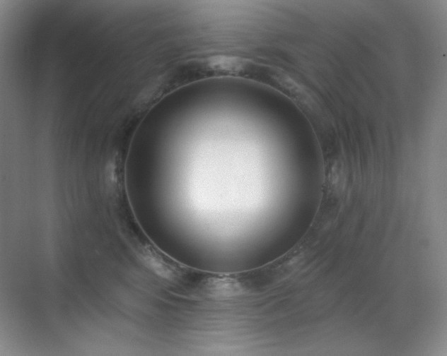 X0000071940424200607071149