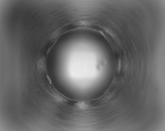 X0000071940425200607071149
