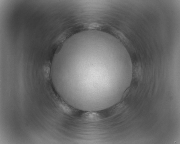 X0000071940427200607071149