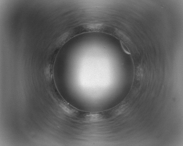 X0000071940428200607071149