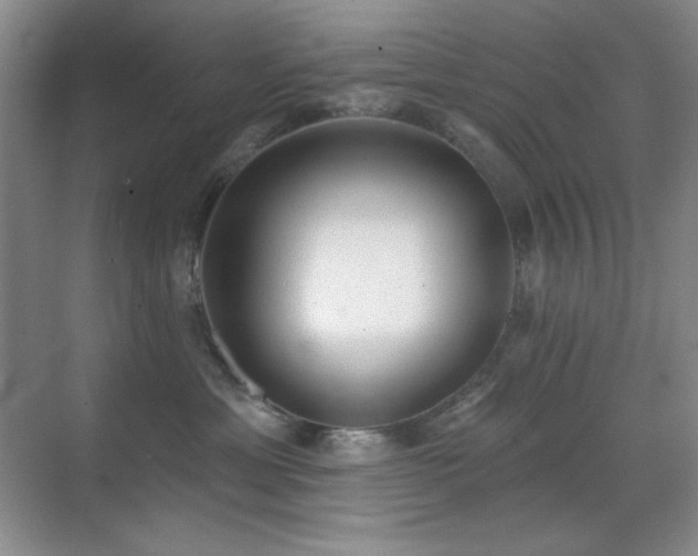 X0000071940429200607071149