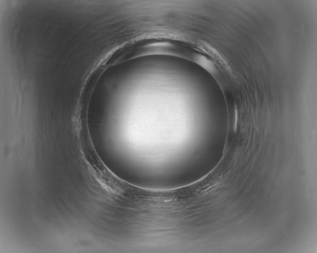 X0000071940436200607071148