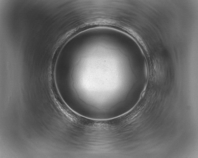 X0000071940437200607071148