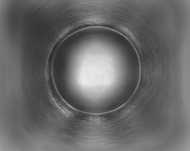 X0000071940439200607071148