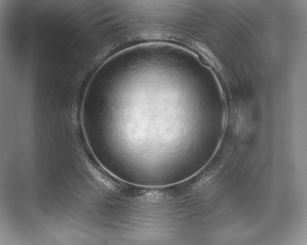 X0000071940441200607071148