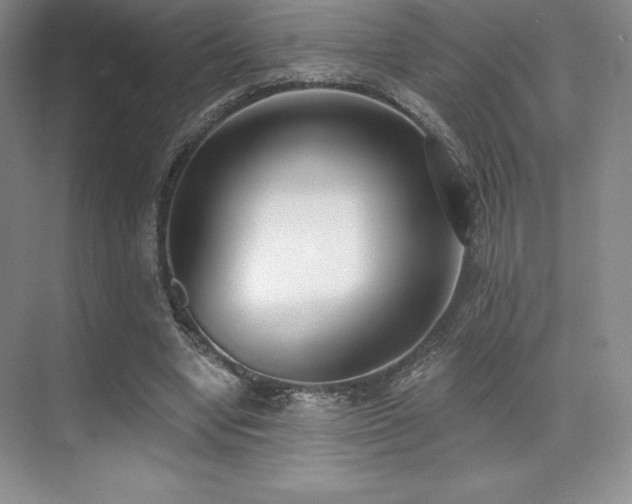 X0000071940442200607071148