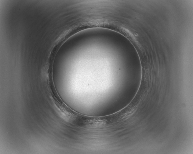 X0000071940443200607071148