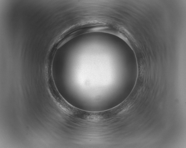 X0000071940444200607071148
