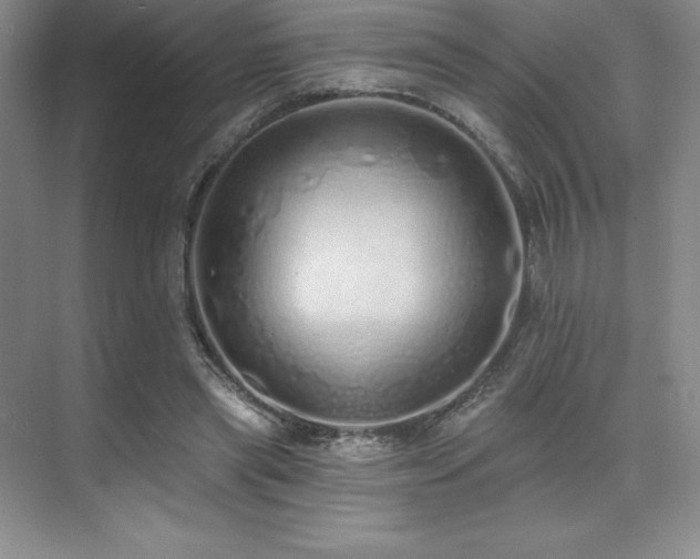 X0000071940445200607071148
