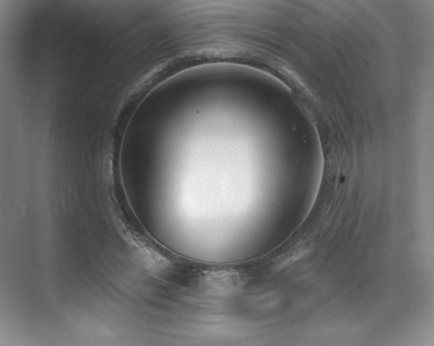 X0000071940446200607071148