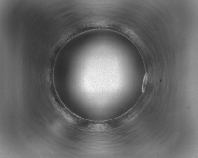 X0000071940449200607071148