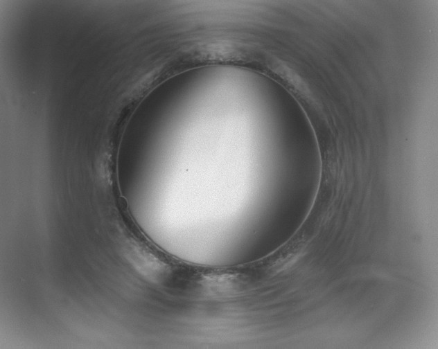 X0000071940450200607071148