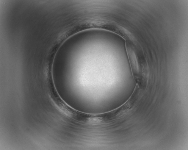 X0000071940451200607071148