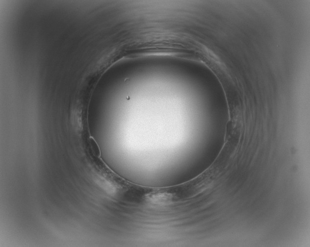 X0000071940452200607071148