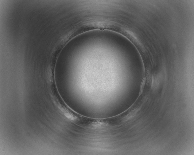 X0000071940453200607071148