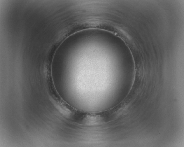 X0000071940455200607071148