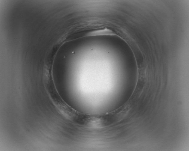 X0000071940456200607071148