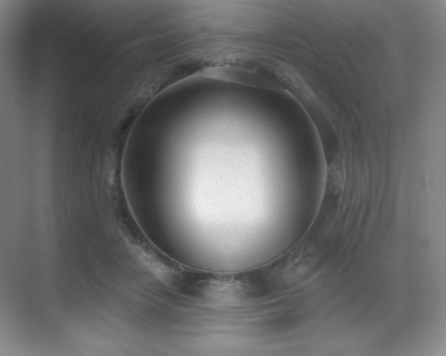 X0000071940458200607071148