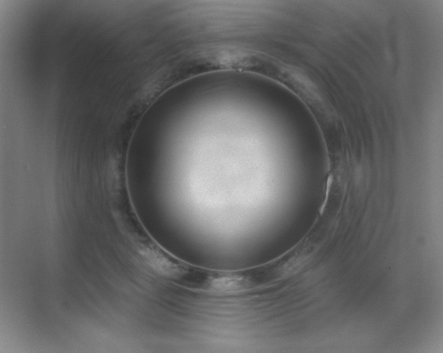 X0000071940461200607071148