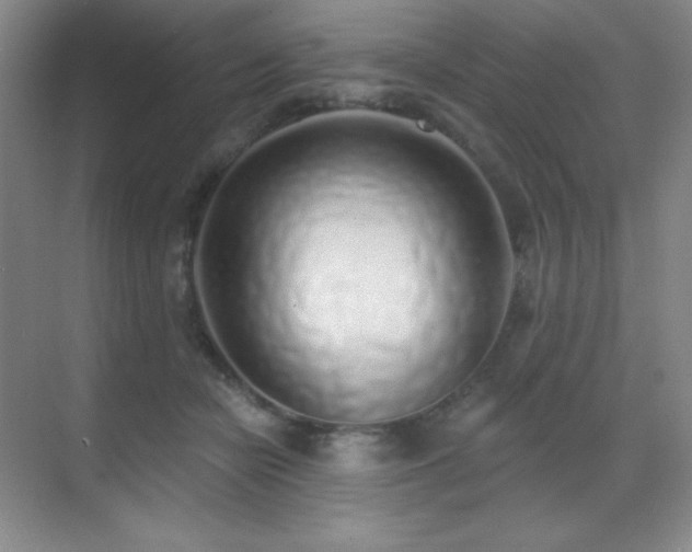 X0000071940462200607071148