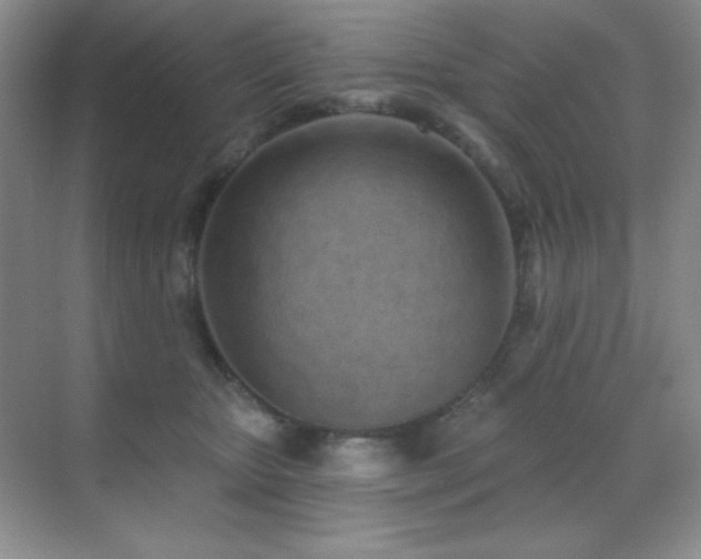 X0000071940467200607071149