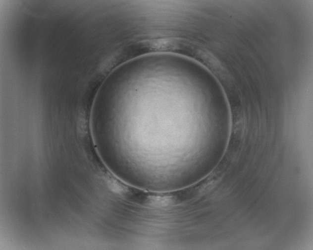X0000071940469200607071149