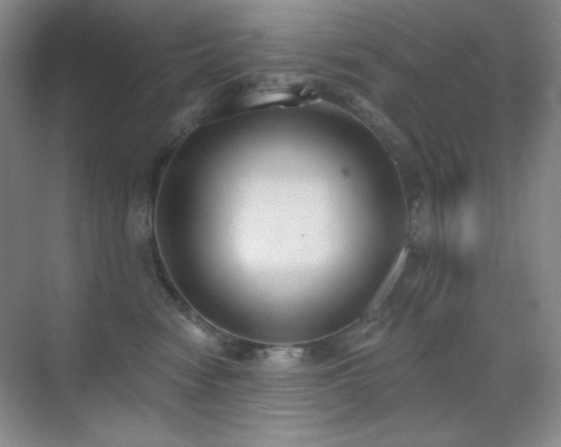 X0000071940474200607071149