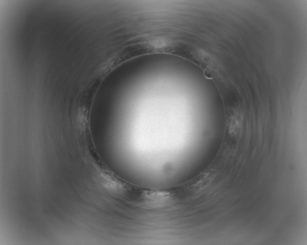 X0000071940476200607071149