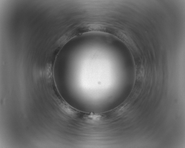 X0000071940478200607071149