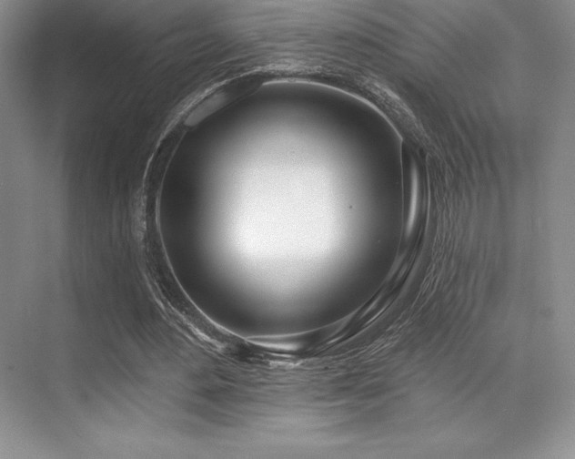 X0000071940484200607071148