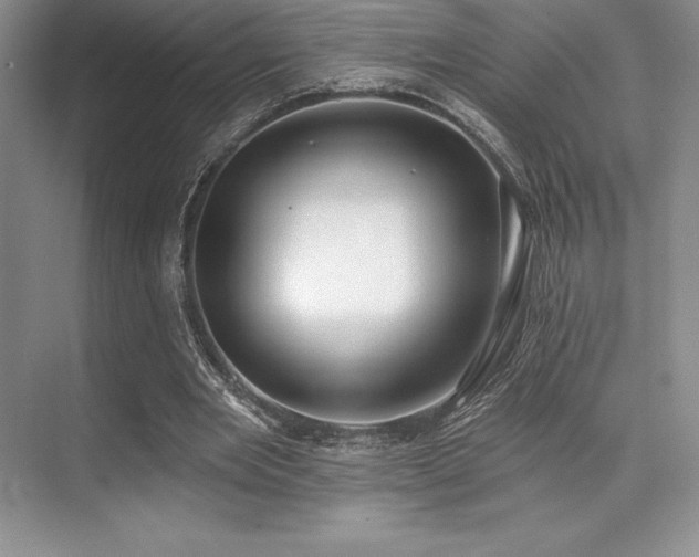 X0000071940485200607071148