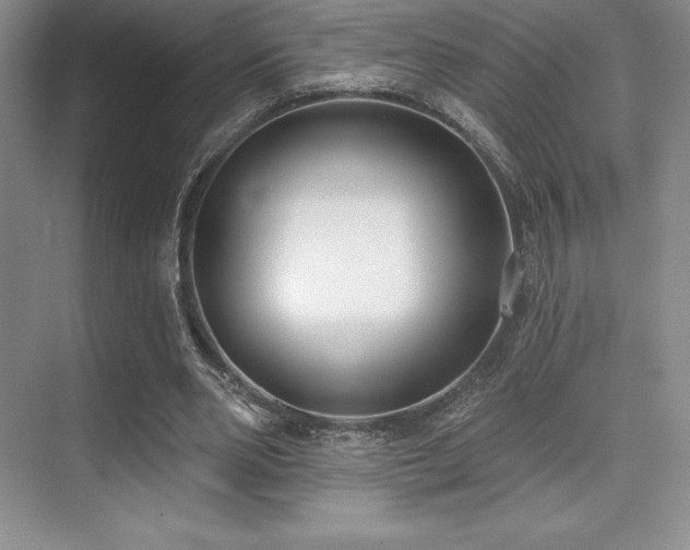 X0000071940486200607071148