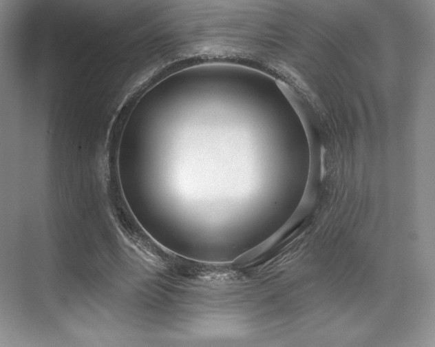 X0000071940488200607071148