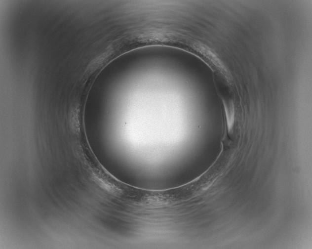 X0000071940489200607071148