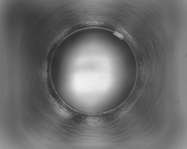 X0000071940490200607071148
