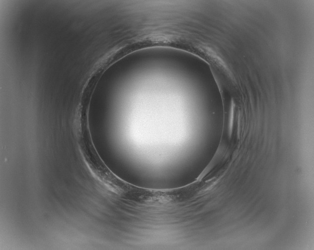 X0000071940492200607071148