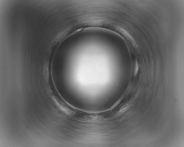 X0000071940493200607071148