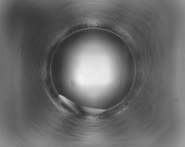X0000071940496200607071148